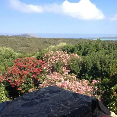 Villaggio I Lentischi; Localita Cala Lupo - Villa *
